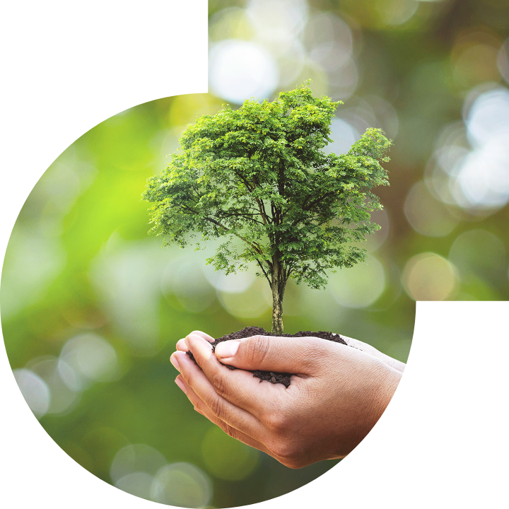 关怀人类、文化、环境与社会